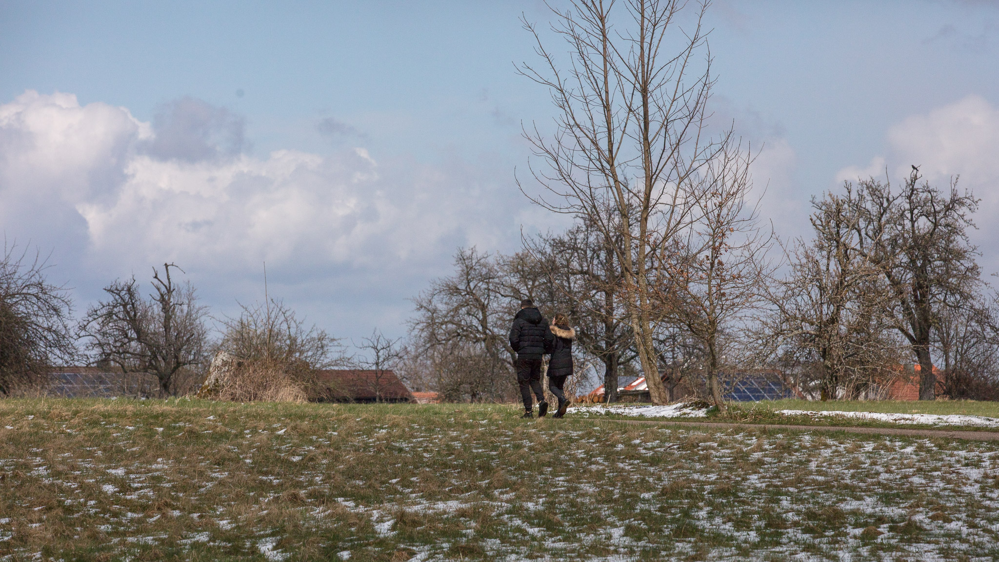 20220409143454 DP013958